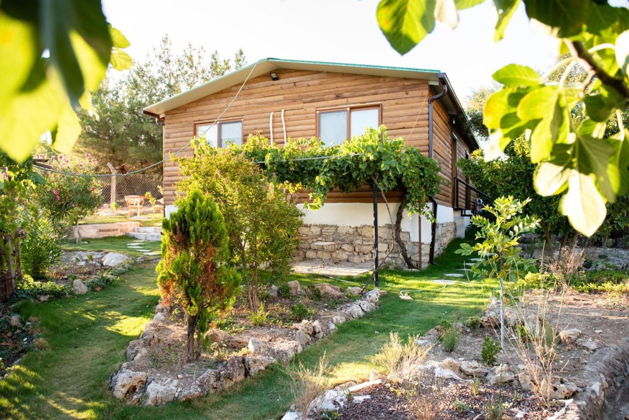 מלון איזמיר My House Urla מראה חיצוני תמונה