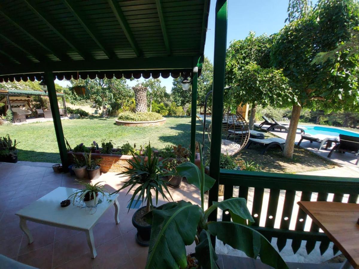 מלון איזמיר My House Urla מראה חיצוני תמונה
